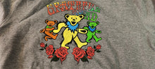 Load image into Gallery viewer, GRATEFUL DEAD - 2020 Gray Long Sleeve Pullover Hoodie ~BRAND NEW~ M L XL