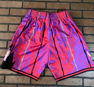 mitchell and ness raptors shorts