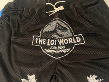 Load image into Gallery viewer, JURASSIC PARK - THE LOS WORLD Headgear Classics Basketball Shorts ~Never Worn~ L