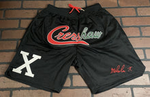 Load image into Gallery viewer, MALCOLM X CRENSHAW NIPSEY Headgear Classics Basketball Shorts ~Never Worn~