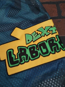 DEXTER'S LAB Headgear Classics Basketball Shorts ~Never Worn~ M XL
