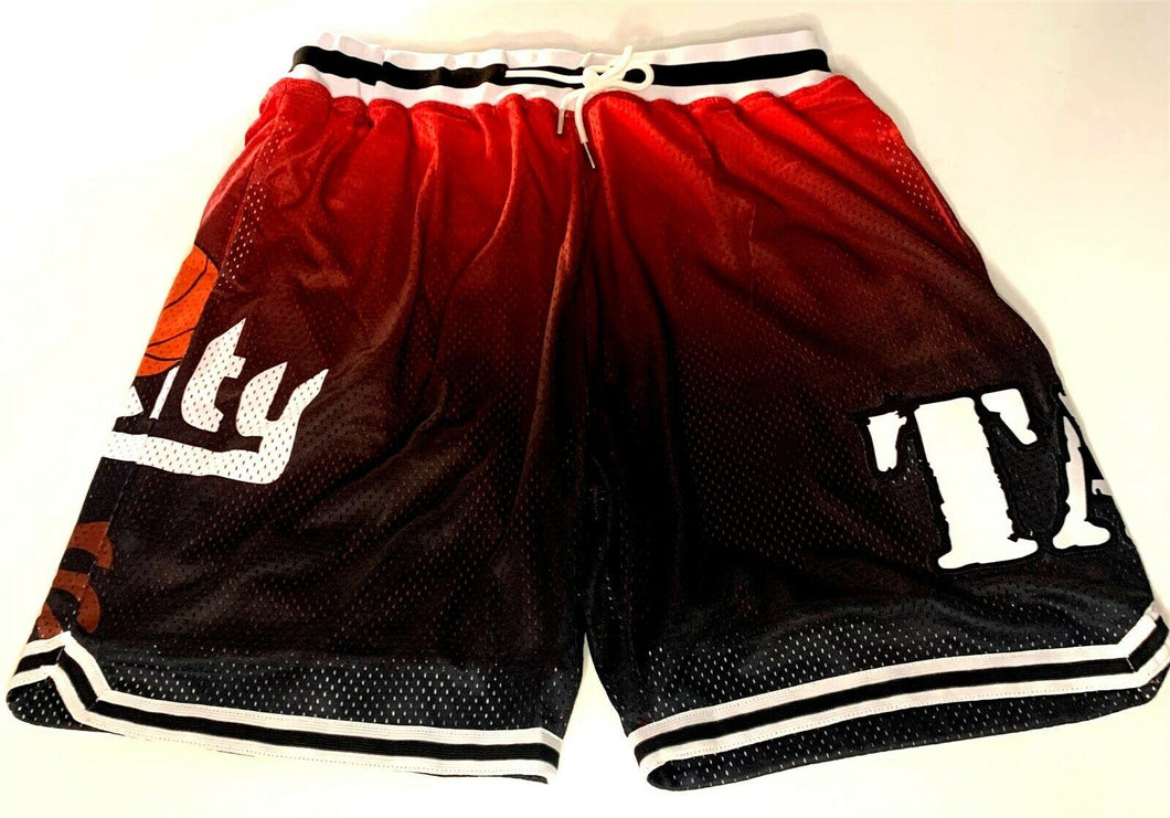 TAZ / RIP CITY Headgear Classics Basketball Shorts ~Never Worn~ L