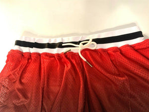 TAZ / RIP CITY Headgear Classics Basketball Shorts ~Never Worn~ L