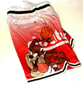 TAZ / RIP CITY Headgear Classics Basketball Shorts ~Never Worn~ L