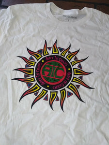ALICE IN CHAINS - AIC Sun Men's T-shirt ~Never Worn~ L 2XL